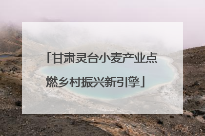 甘肃灵台小麦产业点燃乡村振兴新引擎