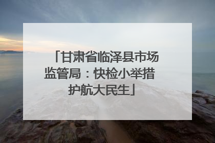 甘肃省临泽县市场监管局：快检小举措 护航大民生