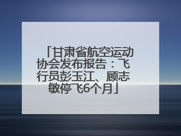 甘肃省航空运动协会发布报告：飞行员彭玉江、顾志敏停飞6个月