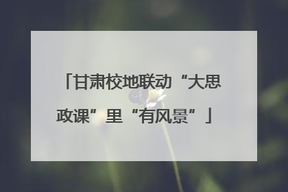 甘肃校地联动“大思政课”里“有风景”