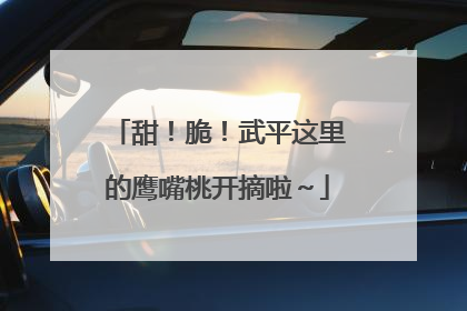 甜！脆！武平这里的鹰嘴桃开摘啦～