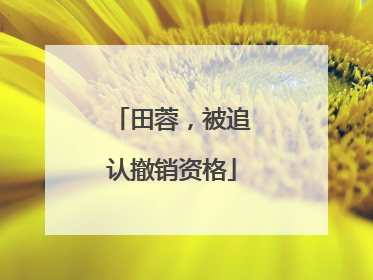 田蓉，被追认撤销资格