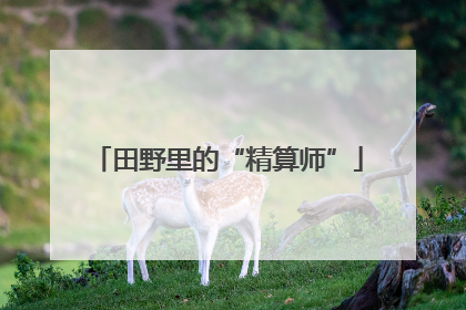 田野里的“精算师”