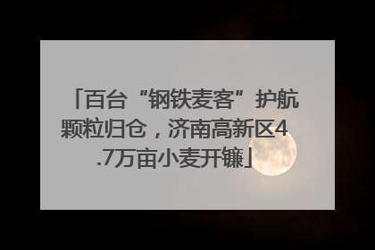 百台“钢铁麦客”护航颗粒归仓，济南高新区4.7万亩小麦开镰