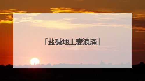 盐碱地上麦浪涌