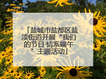 盐城市盐都区盐渎街道开展“我们的节日·情系端午”主题活动