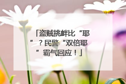 盗贼挑衅比“耶”？民警“双倍耶”霸气回应！