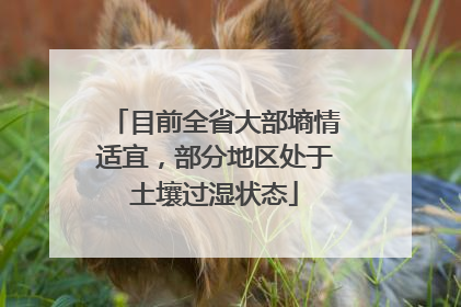 目前全省大部墒情适宜，部分地区处于土壤过湿状态