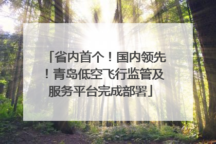 省内首个！国内领先！青岛低空飞行监管及服务平台完成部署
