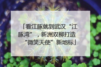 看江豚就到武汉“江豚湾”，新洲双柳打造“微笑天使”新地标
