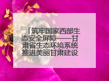 筑牢国家西部生态安全屏障——甘肃省生态环境系统推进美丽甘肃建设交出亮眼答卷