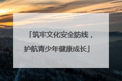 筑牢文化安全防线，护航青少年健康成长