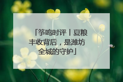筝鸣时评丨夏粮丰收背后，是潍坊全城的守护