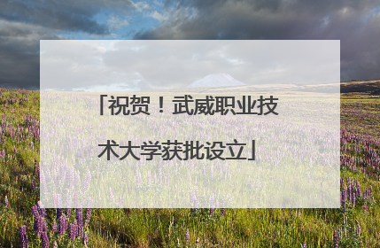 祝贺！武威职业技术大学获批设立