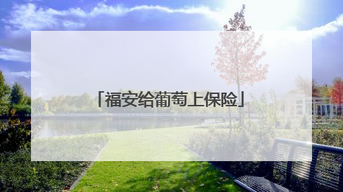 福安给葡萄上保险