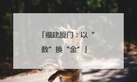 福建厦门：以“数”换“金”