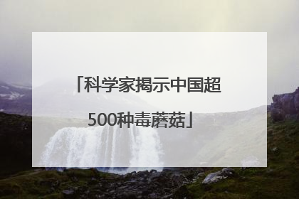 科学家揭示中国超500种毒蘑菇