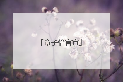 章子怡官宣