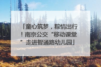童心筑梦，粽情出行！南京公交“移动课堂”走进智通路幼儿园
