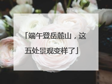 端午登岳麓山，这五处景观变样了