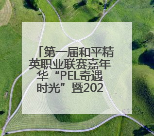 第一届和平精英职业联赛嘉年华“PEL奇遇时光”暨2025和平精英城市赛总决赛盛大启幕