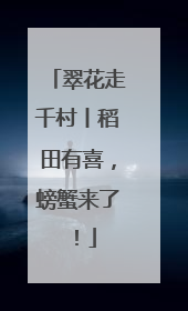 翠花走千村丨稻田有喜，螃蟹来了！
