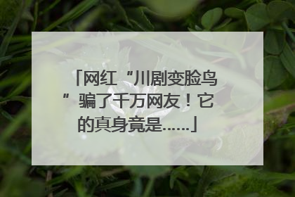 网红“川剧变脸鸟”骗了千万网友！它的真身竟是……