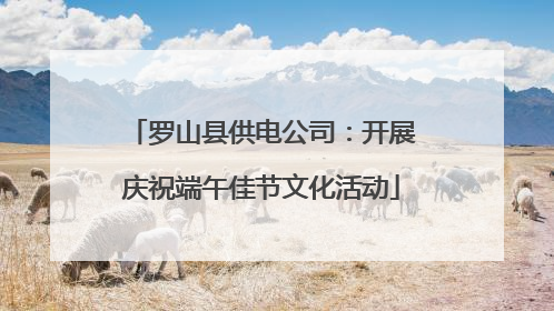 罗山县供电公司：开展庆祝端午佳节文化活动