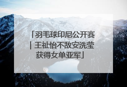 羽毛球印尼公开赛｜王祉怡不敌安洗莹 获得女单亚军