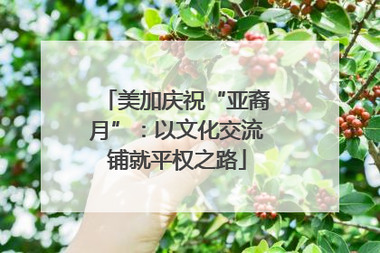 美加庆祝“亚裔月”：以文化交流铺就平权之路