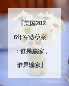 美国2026年军费草案：谁是赢家，谁是输家