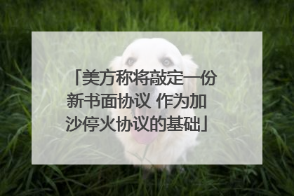 美方称将敲定一份新书面协议 作为加沙停火协议的基础