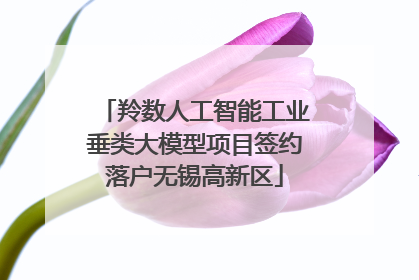 羚数人工智能工业垂类大模型项目签约落户无锡高新区