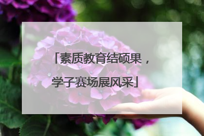 素质教育结硕果，学子赛场展风采