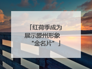 红荷季成为展示滕州形象“金名片”