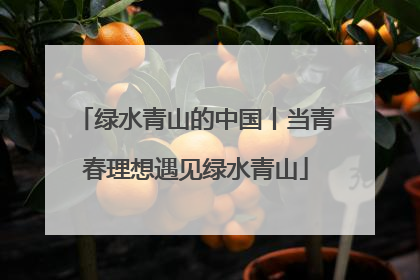 绿水青山的中国丨当青春理想遇见绿水青山