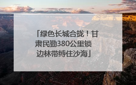 绿色长城合拢！甘肃民勤380公里锁边林带缚住沙海