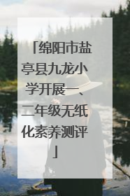 绵阳市盐亭县九龙小学开展一、二年级无纸化素养测评