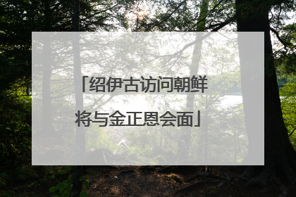 绍伊古访问朝鲜 将与金正恩会面