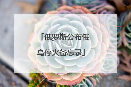 俄罗斯公布俄乌停火备忘录