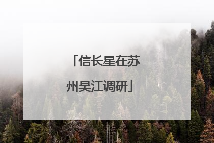 信长星在苏州吴江调研