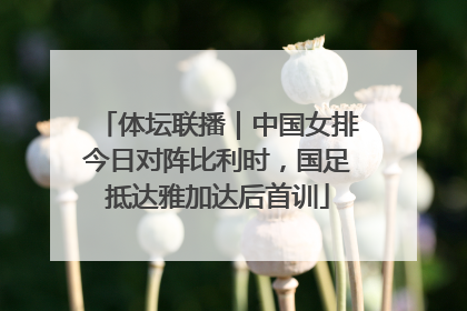 体坛联播｜中国女排今日对阵比利时，国足抵达雅加达后首训