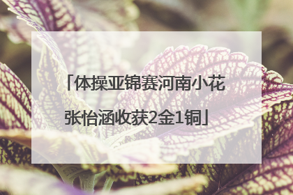 体操亚锦赛河南小花张怡涵收获2金1铜