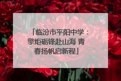 临汾市平阳中学：擎炬砺锋赴山海 青春扬帆启新程