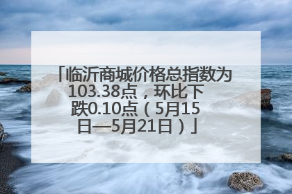 临沂商城价格总指数为103.38点，环比下跌0.10点（5月15日—5月21日）