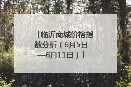 临沂商城价格指数分析（6月5日—6月11日）