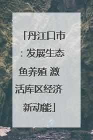 丹江口市：发展生态鱼养殖 激活库区经济新动能