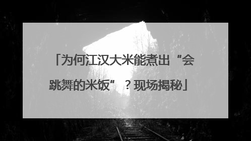 为何江汉大米能煮出“会跳舞的米饭”？现场揭秘