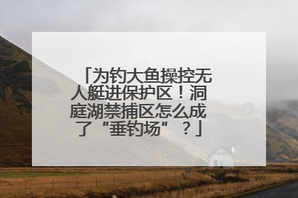 为钓大鱼操控无人艇进保护区！洞庭湖禁捕区怎么成了“垂钓场”？