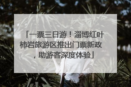 一票三日游！淄博红叶柿岩旅游区推出门票新政，助游客深度体验